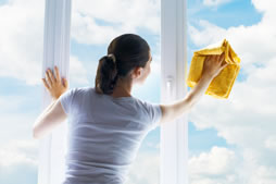 window cleaning